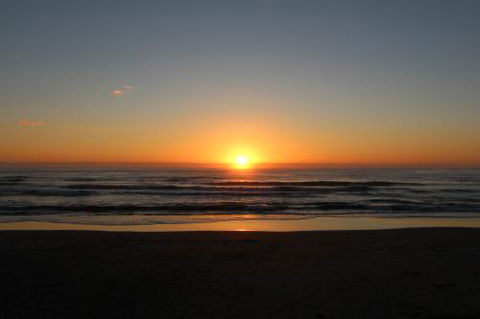 One Agency North Haven - Click Find 0