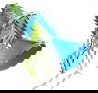 King of Knives - Click Find