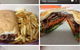 Tasty Things Takeaway - thumb 4