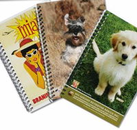 Gainsborough Graphics - Click Find