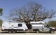 Jayco Darwin - thumb 2