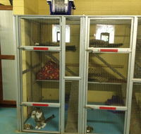 Purrs  Paws Pet ResortNT Agent For Ozpet Transport - Click Find
