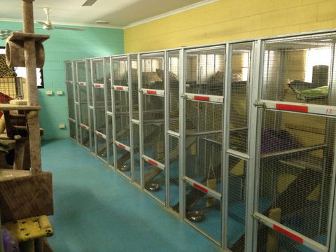 Purrs & Paws Pet Resort–NT Agent For Ozpet Transport - Click Find 1