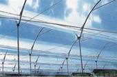 Solarshade - Click Find 2