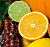 Wild Juice Bars - Click Find