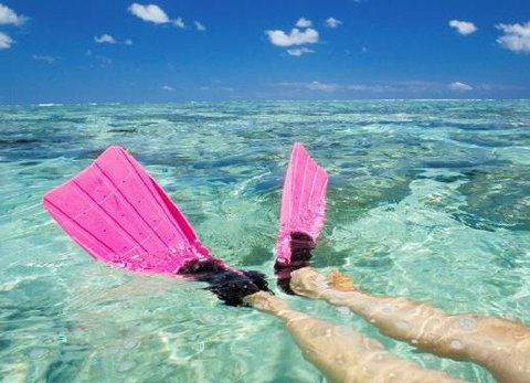 Port Macquarie Travel - Click Find 1