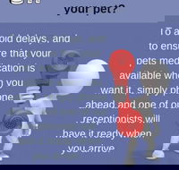 Gympie Veterinary Services - Click Find