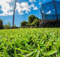 Hamilton Plains Turf - Click Find
