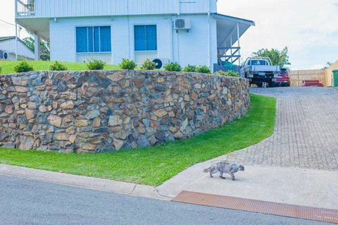 Hamilton Plains Turf - Bet 4u 3