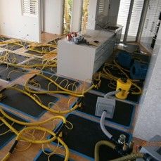 Revive Cleaning And Restoration - Click Find 0