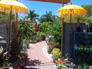 Insulation Supplies Byron Bay NSW Click Find