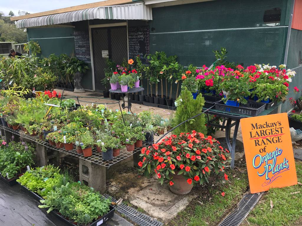 Wholesale Nurseries Mackay QLD Click Find