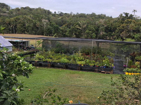 Country Garden’s Mackay - Click Find 3