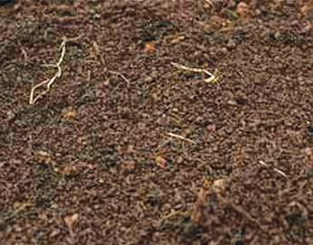 Ground FX Landscape Supplies - Click Find 2