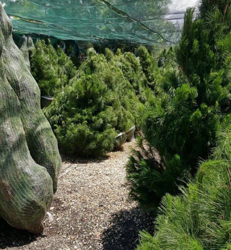 Ground FX Landscape Supplies - Click Find 15