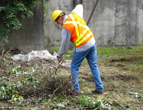 Total Vegetation Management - Click Find 0