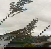 McCords Tree Services  Excavations - Click Find