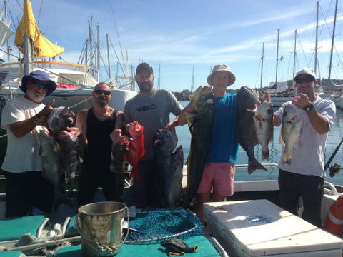 KC’s Fishing Charters - Click Find 1