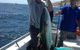 KC’s Fishing Charters - thumb 2