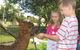 Banyandah Alpacas - thumb 1