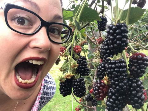 Kareelah Berry Farm - Lavinia 1