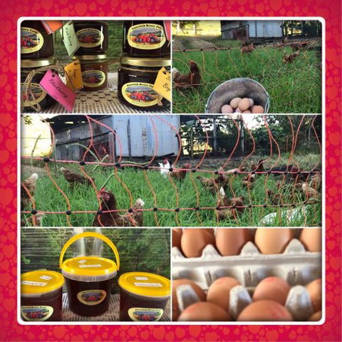 Kareelah Berry Farm - Lavinia 3