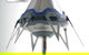Aussie Power Solutions Pty Ltd - thumb 5