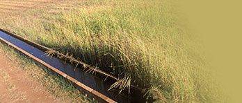 Rural Pumping Solutions - Click Find 0