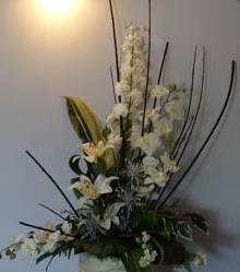 Whitsunday Funerals & Crematorium - Click Find 3