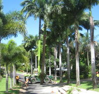 NQ Tree Lopping - Click Find