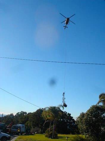 Tallow Tree Services Pty Ltd - Click Find 3