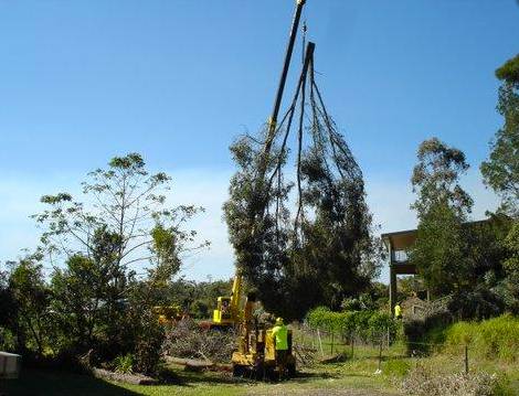 Tallow Tree Services Pty Ltd - Click Find 4