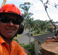 Port Tree Fella - Click Find