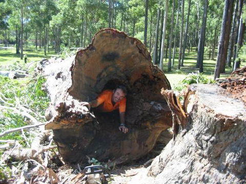 Port Tree Fella - Click Find 2