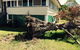 Weier Troy Tree Service - thumb 0