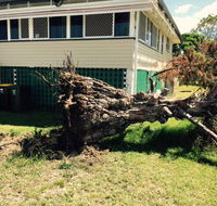 Weier Troy Tree Service - Click Find
