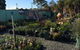 Burnett Trees - thumb 3