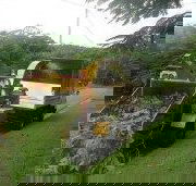 Professional Tree Surgery - Click Find