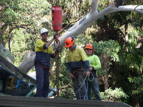 John Henry Tree Services - Click Find 1