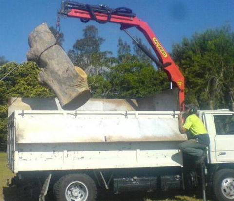 D & M Tree Services - Click Find 1