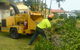 D & M Tree Services - thumb 2