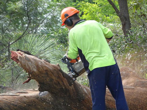 D & M Tree Services - Click Find 4