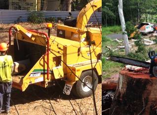 PW Tree Services - Click Find 3