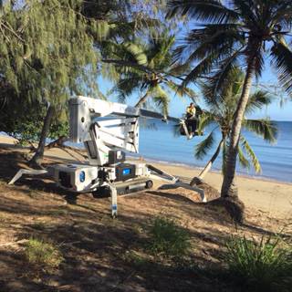 Bowen Woodchipping - Click Find 2