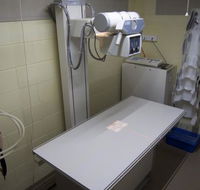 Mount Isa Veterinary Surgery - DBD