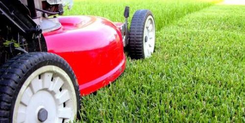 Lawnmowing Maintenance Parkside QLD Clickz