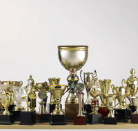 Ace Wholesale Trophies  Engraving - Click Find