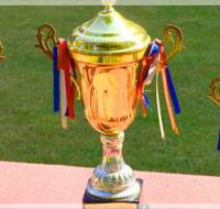 Discount Trophies Australia - Bridge Guide