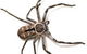 JWK Pest Control Services- Rentokil-Initial - thumb 6