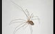 JWK Pest Control Services- Rentokil-Initial - thumb 8